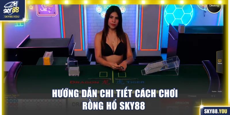 Hướng dẫn cách chơi Dragon Tiger dễ dàng nhập cuộc